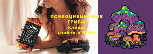 экстази Пересвет