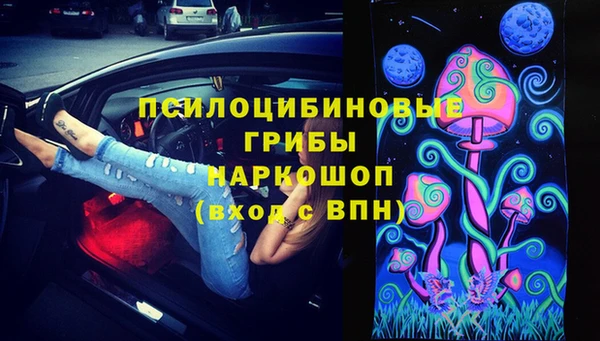 хмурый Пестово