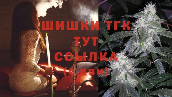 хмурый Пестово